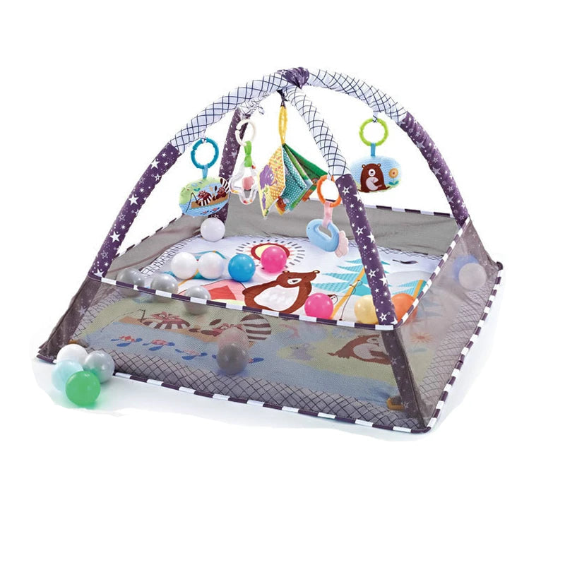 Baby Crawling Mat & Fitness Frame Set