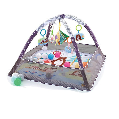 Baby Crawling Mat & Fitness Frame Set