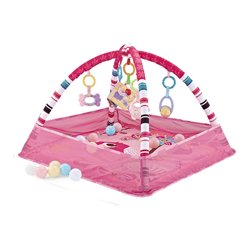 Baby Crawling Mat & Fitness Frame Set
