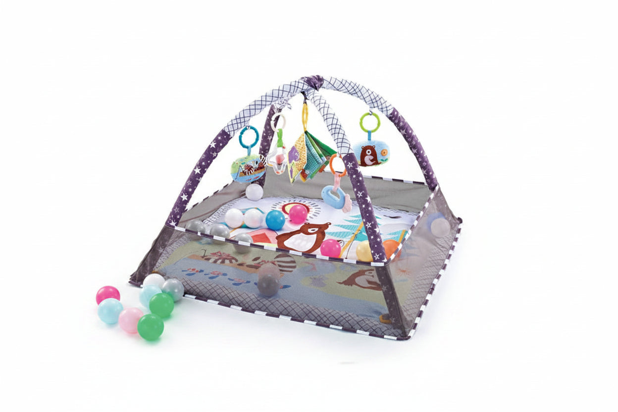 Baby Crawling Mat & Fitness Frame Set