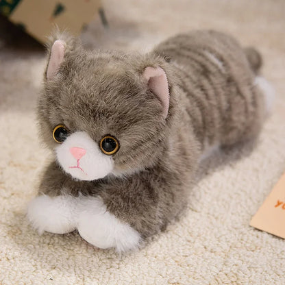 Realistic Cat Plush Toy | Lifelike Stuffed Kitten with Fur | 5 Colours | 40cm & 50cm