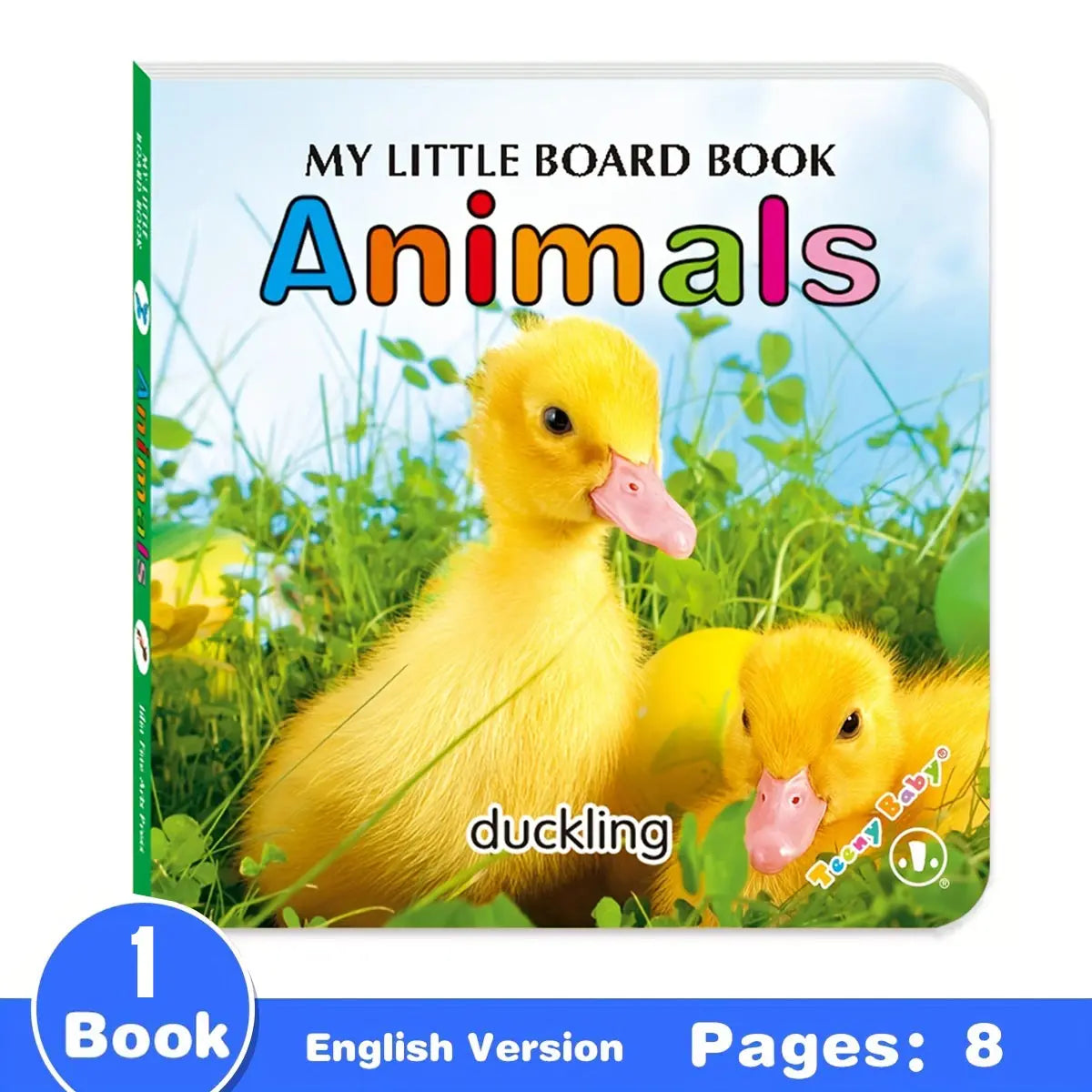 Baby Colourful Pattern Card Books | Interactive Sensory Toy for Newborn Early Development