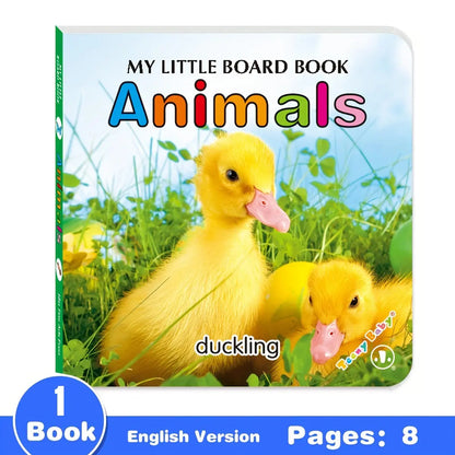 Baby Colourful Pattern Card Books | Interactive Sensory Toy for Newborn Early Development