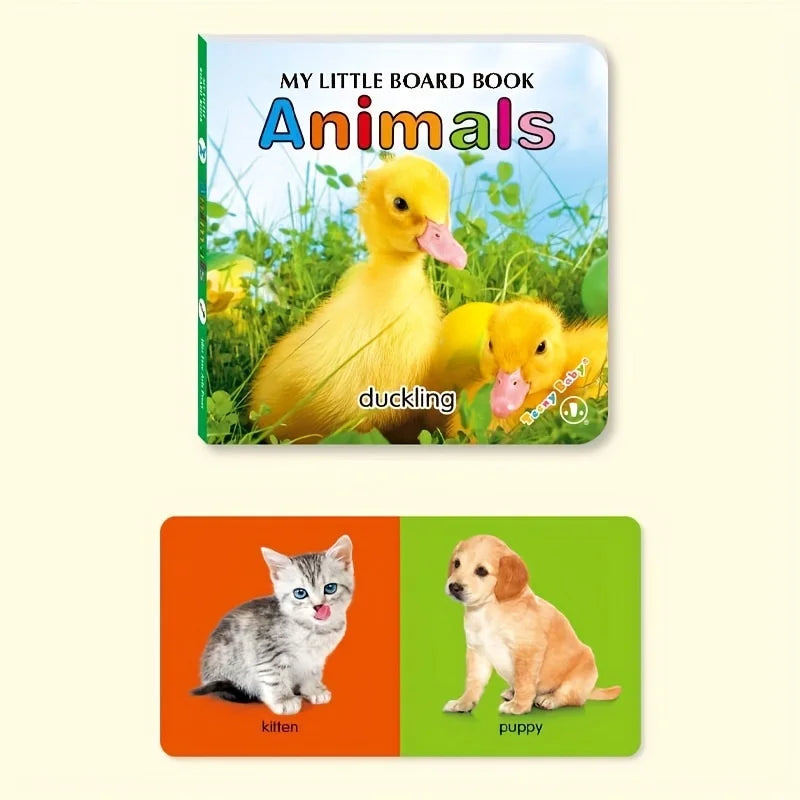 Baby Colourful Pattern Card Books | Interactive Sensory Toy for Newborn Early Development
