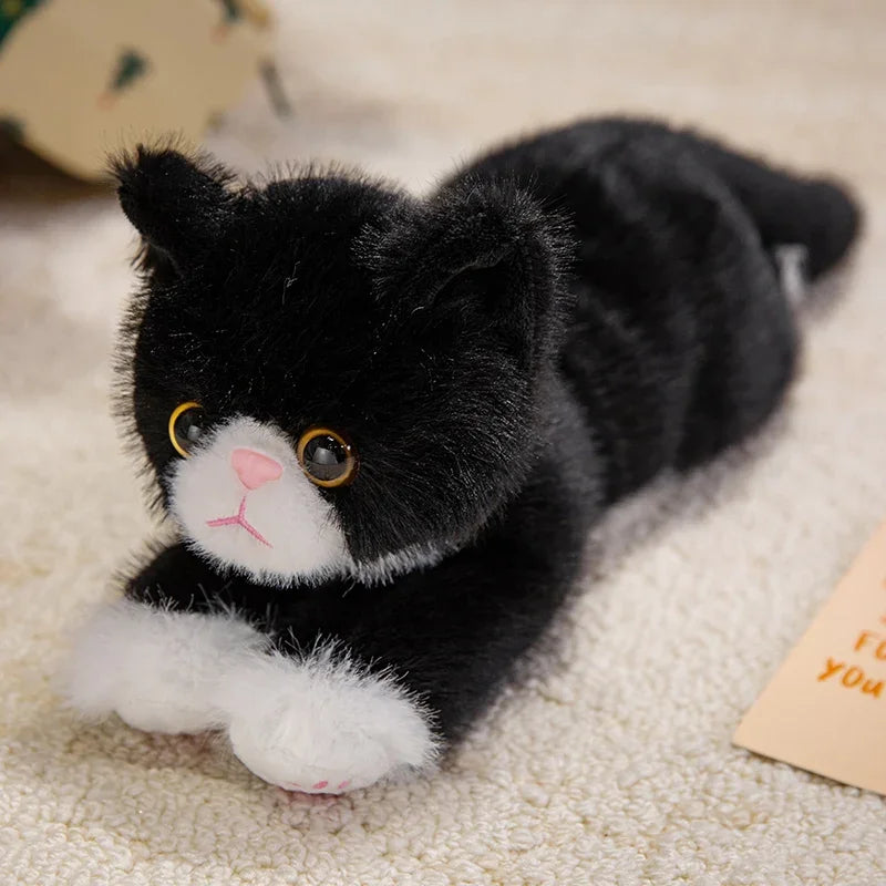 Realistic Cat Plush Toy | Lifelike Stuffed Kitten with Fur | 5 Colours | 40cm & 50cm