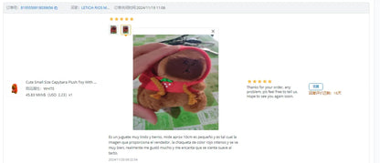 Capybara Plush Toy with Wings & Hoodie | Soft Stuffed Animal Gift