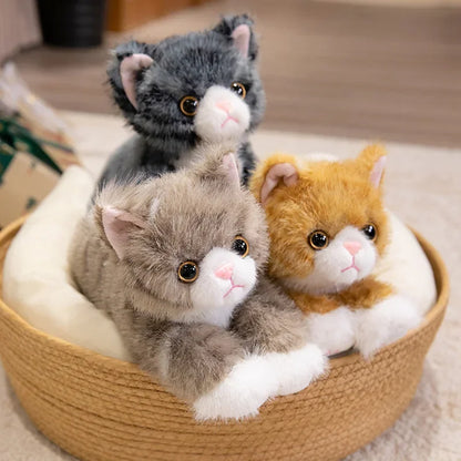 Realistic Cat Plush Toy | Lifelike Stuffed Kitten with Fur | 5 Colours | 40cm & 50cm