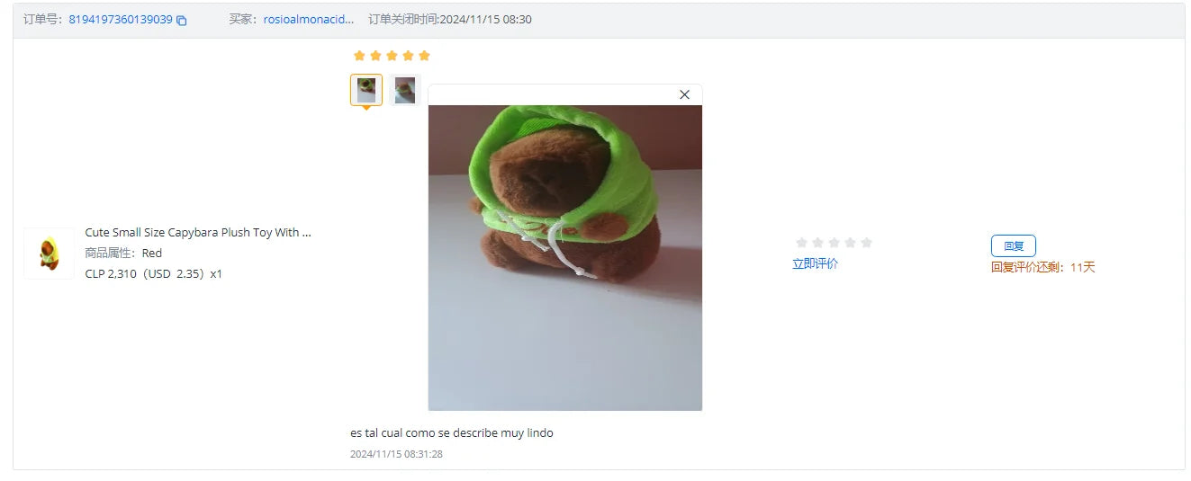 Capybara Plush Toy with Wings & Hoodie | Soft Stuffed Animal Gift