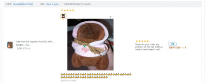 Capybara Plush Toy with Wings & Hoodie | Soft Stuffed Animal Gift