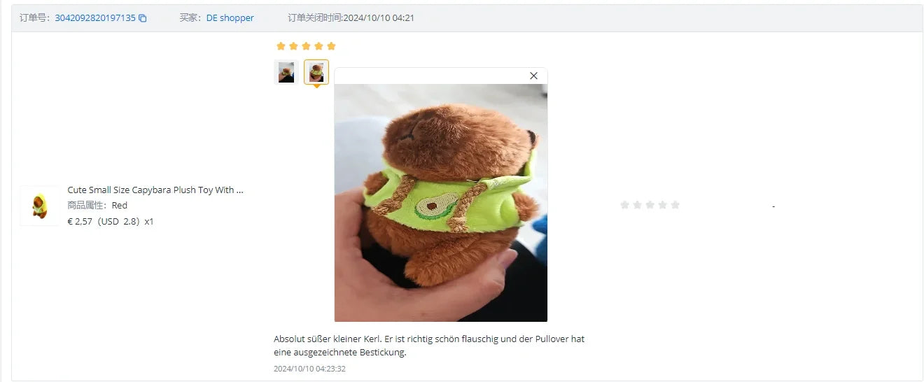 Capybara Plush Toy with Wings & Hoodie | Soft Stuffed Animal Gift